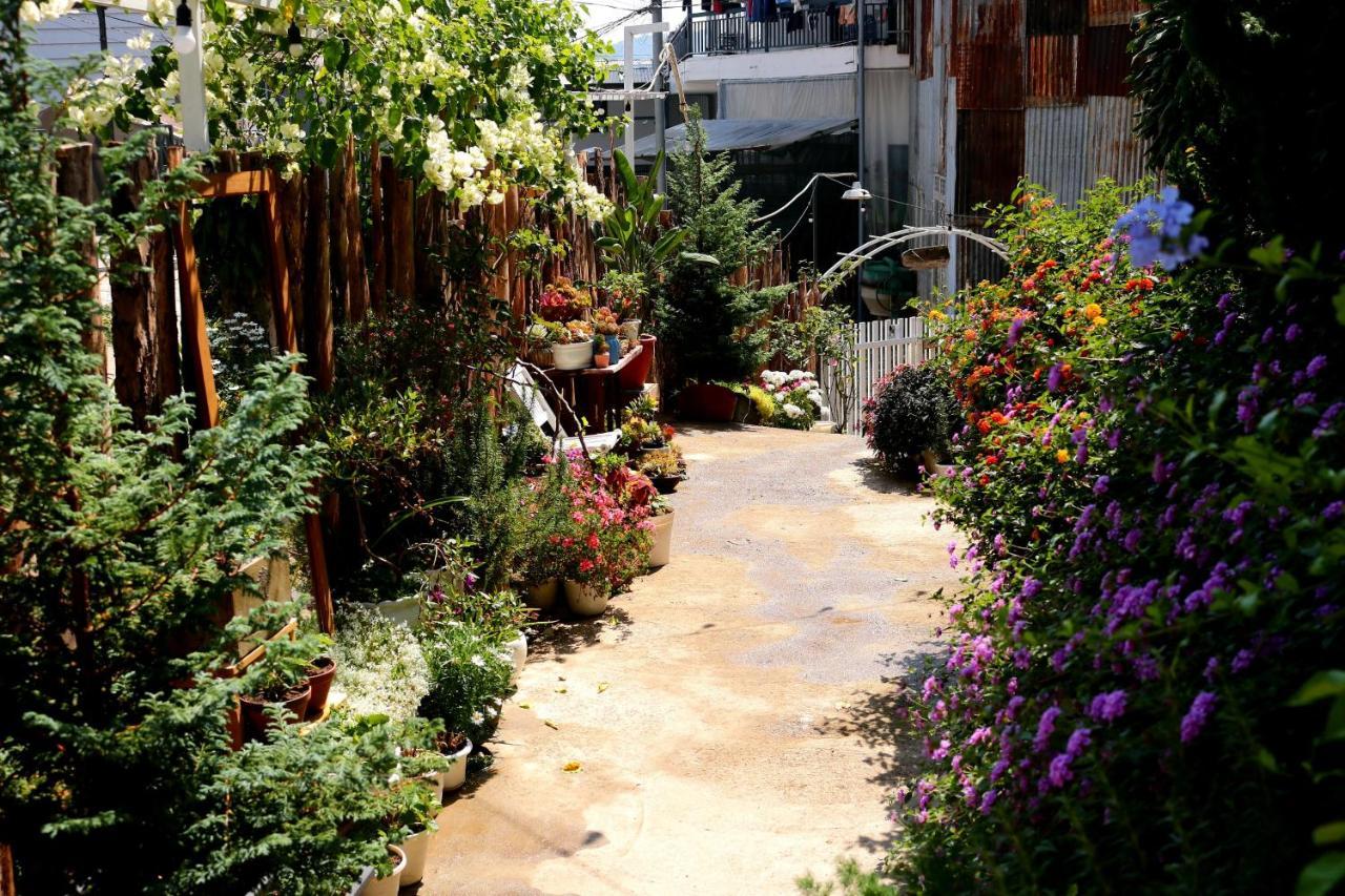 Soul Pnb Homestay Далат Экстерьер фото