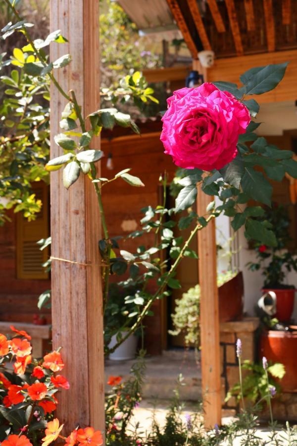 Soul Pnb Homestay Далат Экстерьер фото